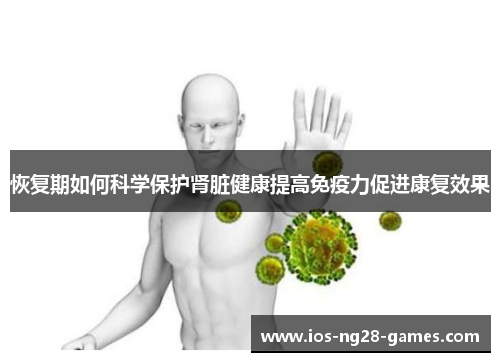 恢复期如何科学保护肾脏健康提高免疫力促进康复效果