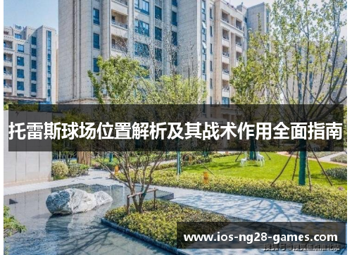 托雷斯球场位置解析及其战术作用全面指南